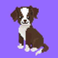 Fototapeta premium pixel graphics. happy dog. vector