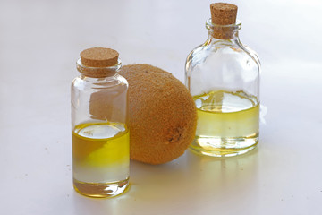 Oil of kiwi