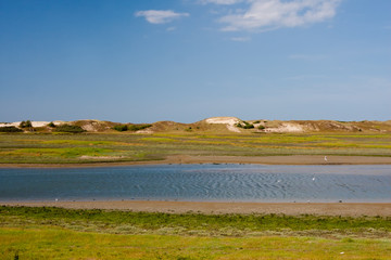 View at Het Zwin, Belgium