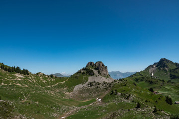 Schynige Platte in Summer