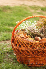 Fototapeta na wymiar basket of mushroom