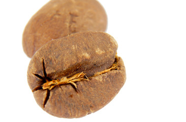 roasted coffee grains on a white background
