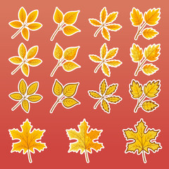 Set of vector illustrations of complex yellow leaves in a flat style. Yellow leaf icons