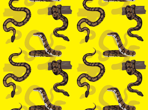 Snake Royal Python Cartoon Background Seamless Wallpaper