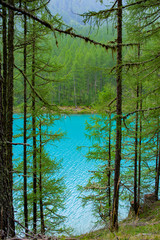 Obraz premium Lake in the forest