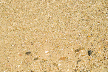 Sea sand, texture