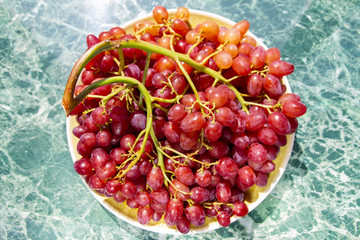 .beautiful bunch of ripe wine grapes