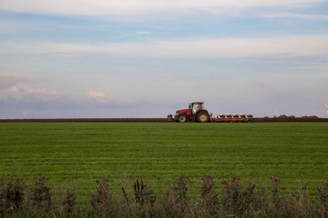 Fototapeta premium Roter Trecker plügt grünes Feld mit blauem Himmel
