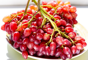 .beautiful bunch of ripe wine grapes