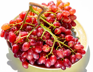 .beautiful bunch of ripe wine grapes