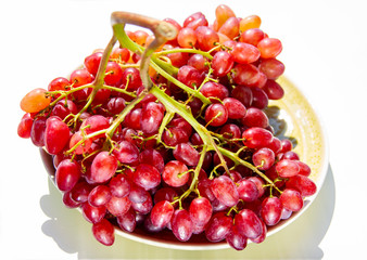 .beautiful bunch of ripe wine grapes