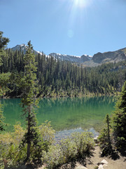 White River National Forest⁩, ⁨Aspen, Colorado