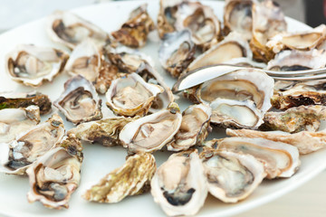 Raw fresh oysters in a white plate.