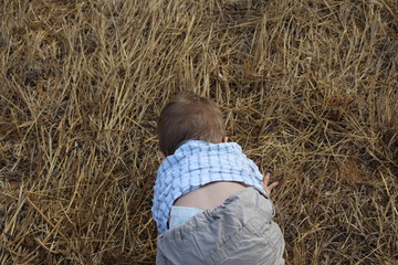 bébé dans un champs