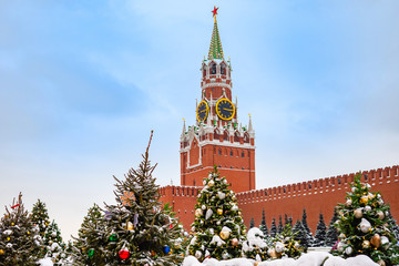 Fototapeta na wymiar Russia. Moscow. Red square in the New year. Kremlin. Decorated Christmas trees on red square. Decorated Christmas trees on the background of the Kremlin wall. New year. Christmas.