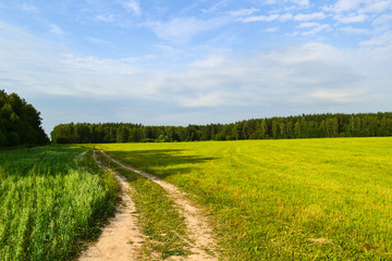 Beautiful countryside landscape. dirt road in the field.