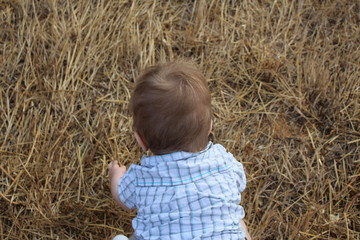 bébé dans le foin