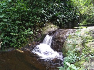 Creek in Avila Caracas Venezuela