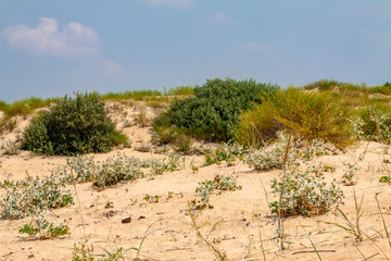 dry land without water for days drought deseart.