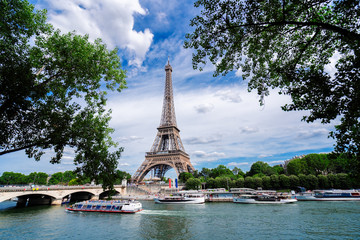 Obraz na płótnie Canvas eiffel tour and Paris cityscape