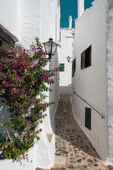 Narrow street among whitewashed houses in the traditional fishing village of Binibeca on the mediterranean coast of Menorca, Spain. Town with Ibiza style.