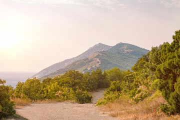 Beginning of a winding road to low, old mountains.