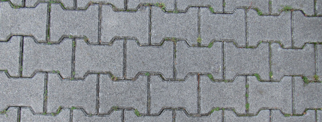 Interlocking Paving Stone. Pavement. Texture.