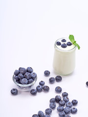 Blueberry yogurt and mint leaves.