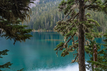 Calm Blue Waters of Mowich Lake with Green Pine Trees