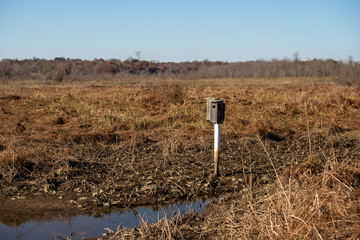 late autumn view across the patuxent river shore at jug bay wetlands sanctuary in southern anne...