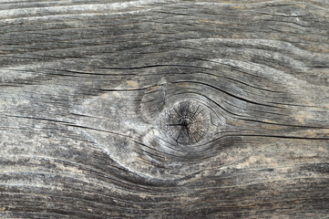 Old wood background. Wood texture