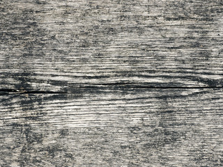 Texture of an old wood plank