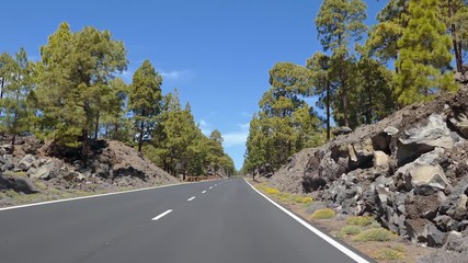 Search Photos Teide - 