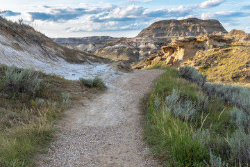 Badlands in the Red Deer River Valley at Dinosaur Provincial Park in Alberta, Canada