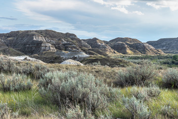 Badlands in the Red Deer River Valley at Dinosaur Provincial Park in Alberta, Canada