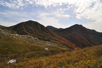 landscape in the mountains
