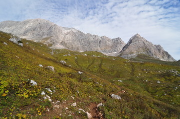 mountain landscape with flowers