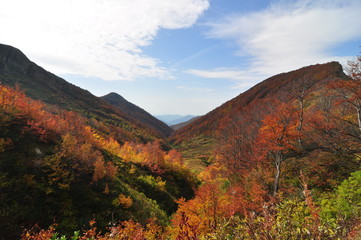 autumn in the mountains