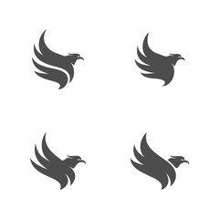 Set of Eagle logo design vector. Sport Eagle logo template