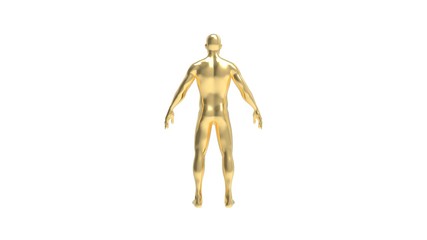 Human body 3d rendering of a golden human body in white background