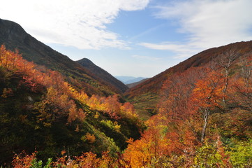 autumn in the mountains