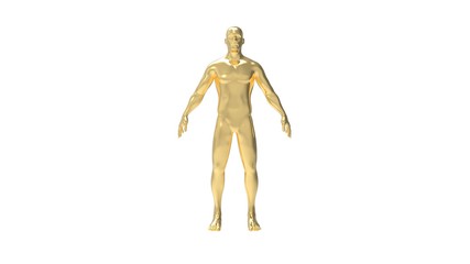 Human body 3d rendering of a golden human body in white background