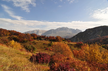 autumn in the mountains