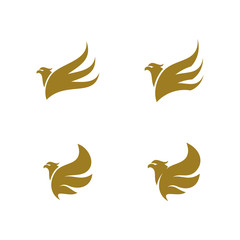 Set of Eagle logo design vector. Sport Eagle logo template