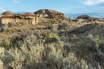 Badlands in the Red Deer River Valley at Dinosaur Provincial Park in Alberta, Canada