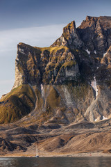Bird cliff at Svalbard - Svalbard - Norway 