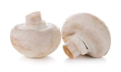 Group of mushrooms isolated on white background