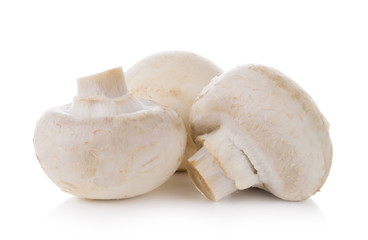 Group of mushrooms isolated on white background