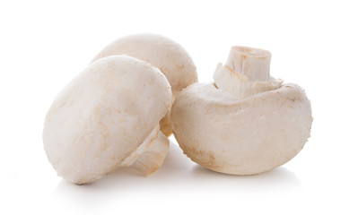 Group of mushrooms isolated on white background