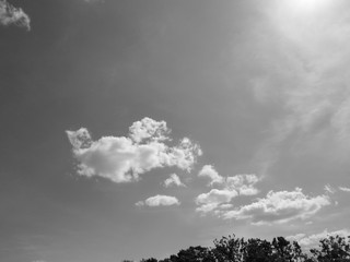 雲